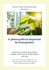 Is photosynthesis important for houseplants?