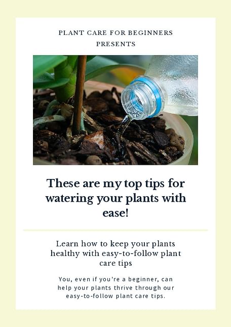 These are my top tips for watering your plants with ease!