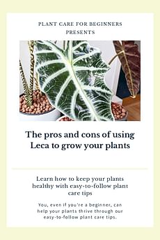 The pros and cons of using Leca to grow your plants