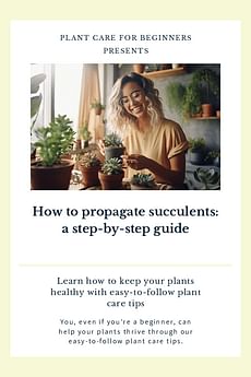 How to propagate succulents: a step-by-step guide
