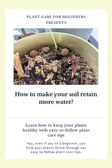 How to make your soil retain more water?