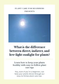 What is the difference between direct, indirect, and low-light sunlight for plants?