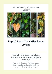 Top 10 Plant Care Mistakes to Avoid