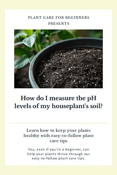 How do I measure the pH levels of my houseplant's soil?