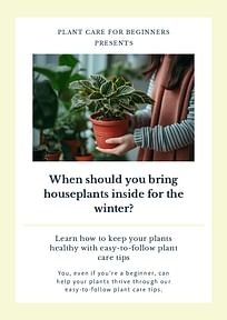 When should you bring houseplants inside for the winter?