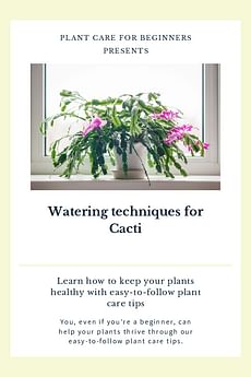 Watering techniques for Cacti