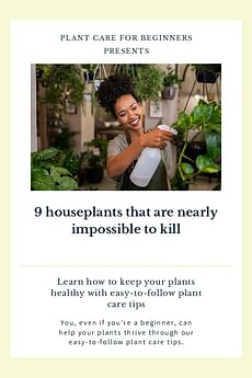 9 houseplants that are nearly impossible to kill