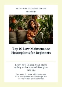 Top 10 Low Maintenance Houseplants for Beginners