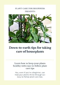 Down-to-earth tips for taking care of houseplants