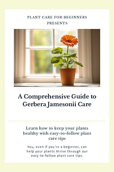 A Comprehensive Guide to Gerbera Jamesonii Care