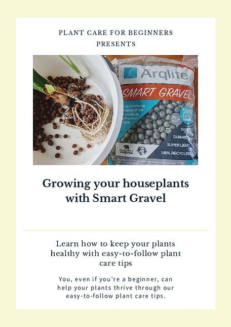 Growing your houseplants with Smart Gravel