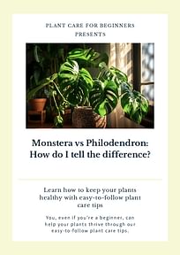 Monstera vs Philodendron: How do I tell the difference?
