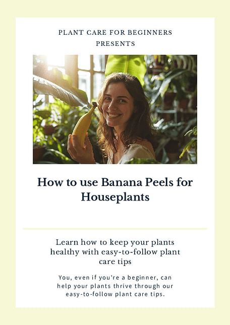 How to use Banana Peels for Houseplants