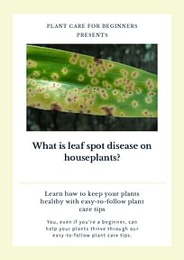 What is leaf spot disease on houseplants?