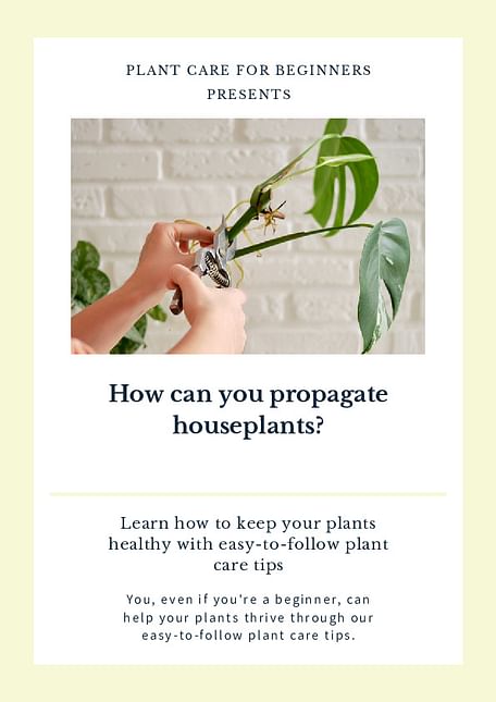 How can you propagate houseplants?
