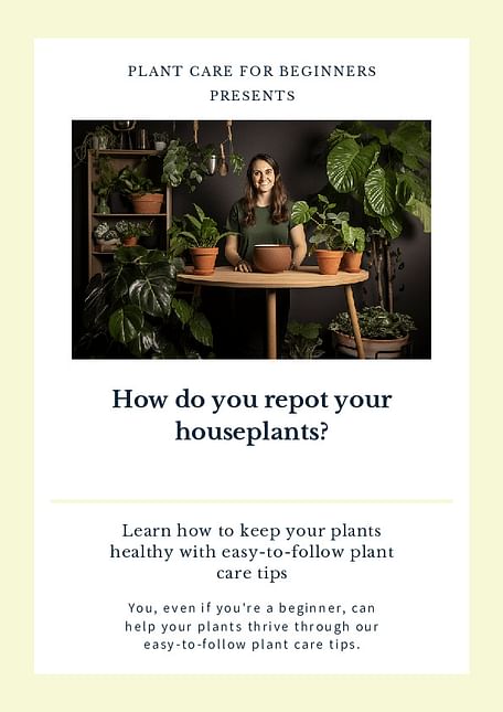 How do you repot your houseplants?