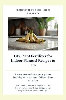 DIY Plant Fertilizer for Indoor Plants: 5 Recipes to Try