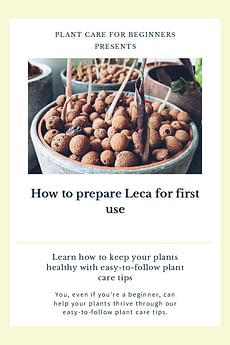 How to prepare Leca for first use