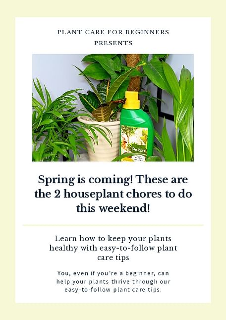 Spring is coming! These are the 2 houseplant chores to do this weekend!
