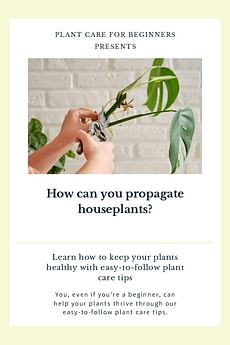 How can you propagate houseplants?