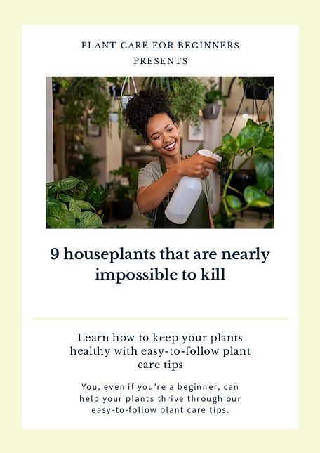 9 houseplants that are nearly impossible to kill