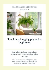 The 7 best hanging plants for beginners