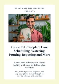 Guide to Houseplant Care Scheduling: Watering, Pruning, Repotting and More