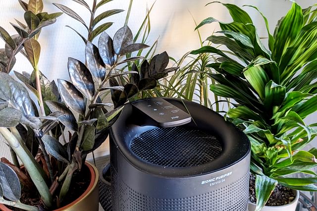 Dehumidifier among plants