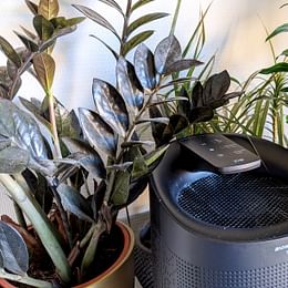 Dehumidifier