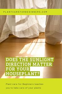 Does the sunlight direction matter for your houseplant?