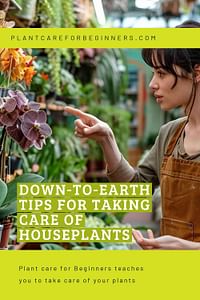 Down-to-earth tips for taking care of houseplants