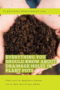 Everything you should know about drainage holes in plant pots