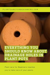 Everything you should know about drainage holes in plant pots