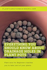 Everything you should know about drainage holes in plant pots