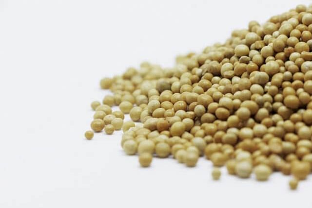 Fertilizer balls