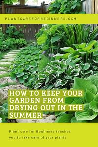 How to keep your garden from drying out in the summer