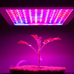 Grow light