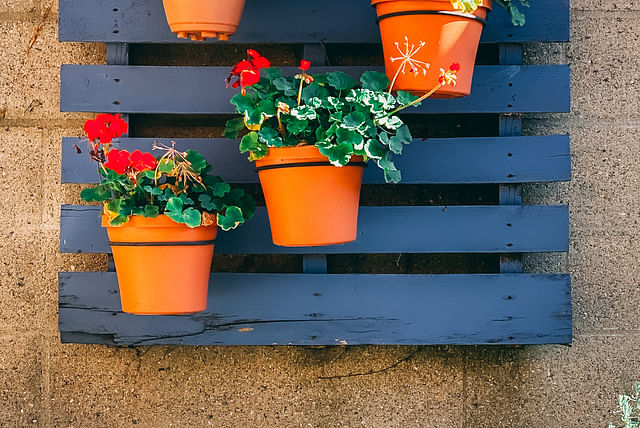 hanging-planter.jpg