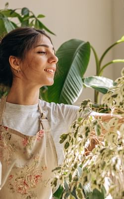 How often should I water my plants?