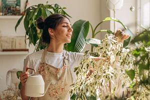 How often should I water my plants?