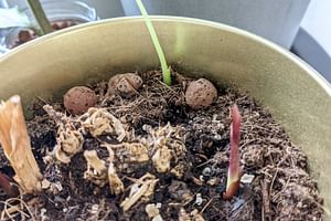 How to make your soil retain more water?