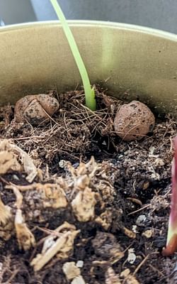 How to make your soil retain more water?