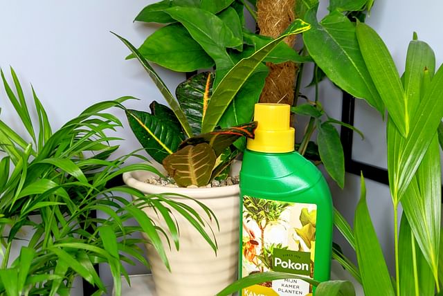 houseplant-fertilizer.jpg
