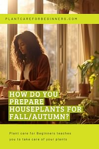 How do you prepare houseplants for fall/autumn?