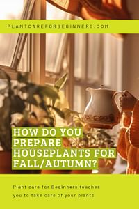 How do you prepare houseplants for fall/autumn?