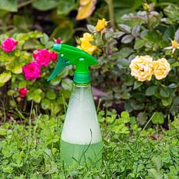 Insecticidal Soap