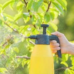 Spray bottle
