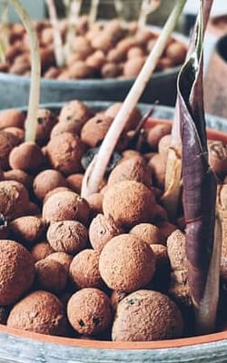 How to prepare Leca for first use