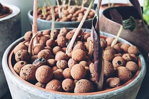 How to prepare Leca for first use