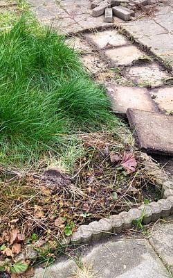 Turning my Tiled Gray Backyard into a Green Garden